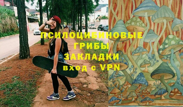 стаф Аркадак