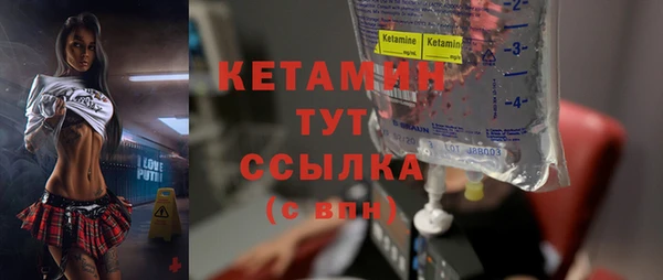 стаф Аркадак