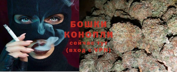 стаф Аркадак