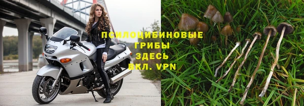 дмт Баксан