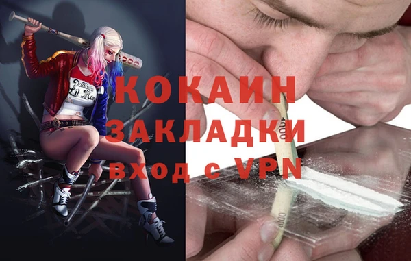 крисы Армянск