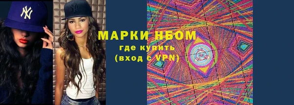 стаф Аркадак