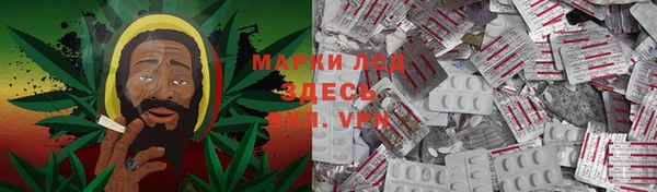стаф Аркадак
